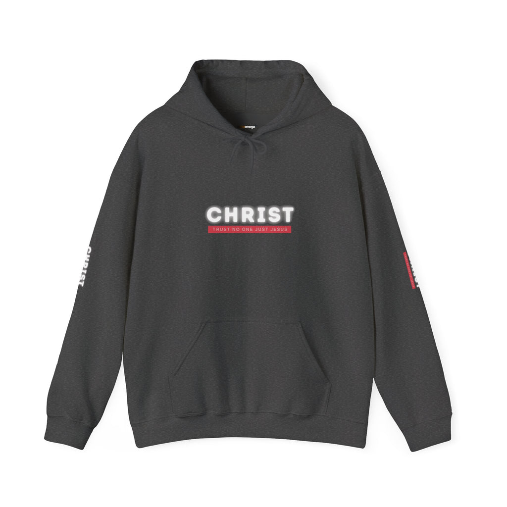 Trust No One Just Jesus Hoodie —  Pullover