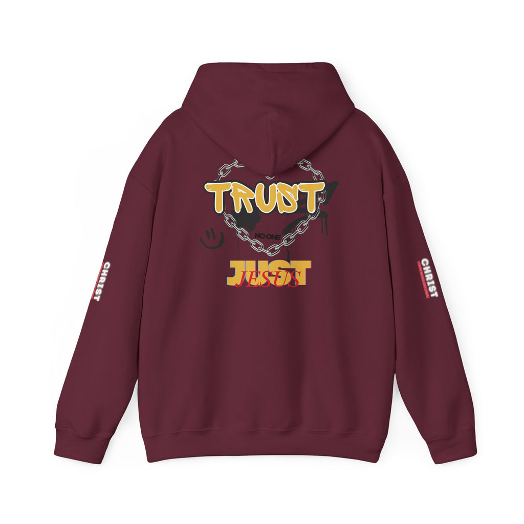 Trust No One Just Jesus Hoodie —  Pullover