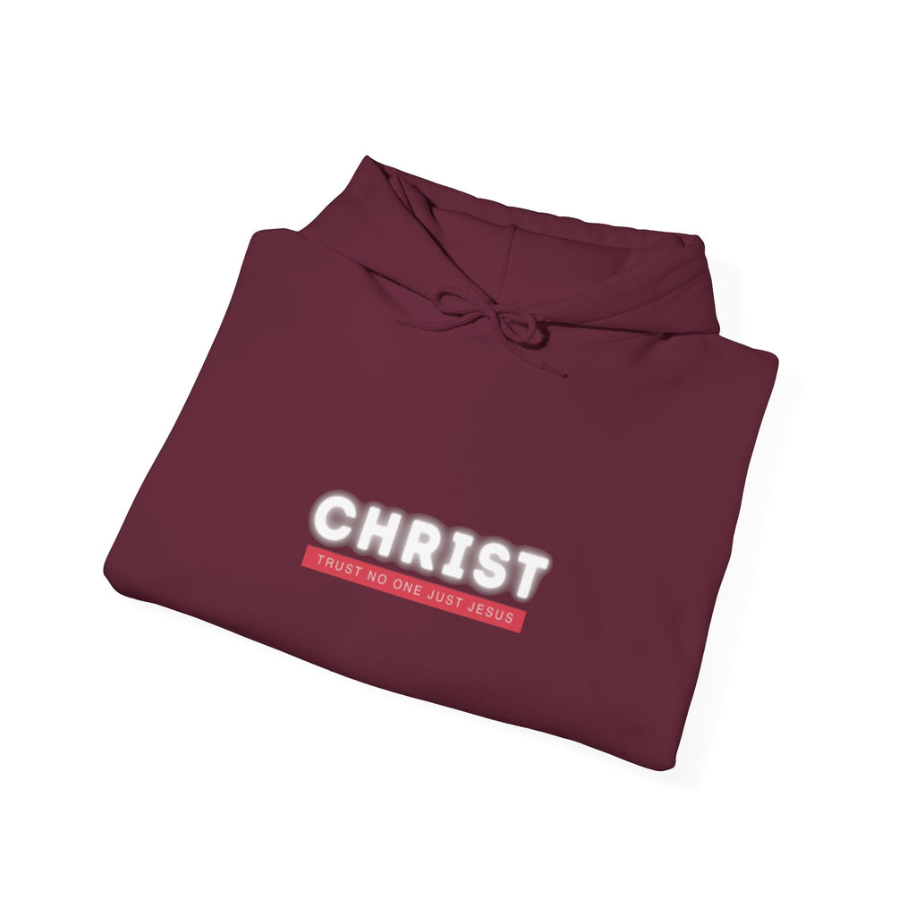 Trust No One Just Jesus Hoodie —  Pullover