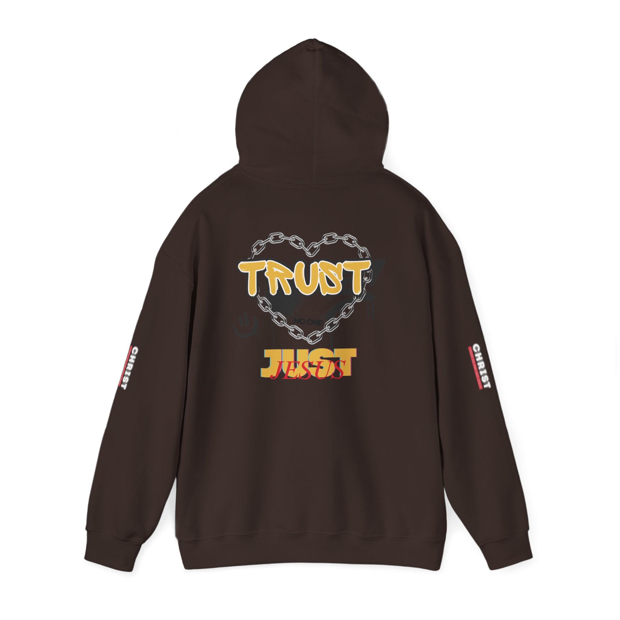 Trust No One Just Jesus Hoodie —  Pullover